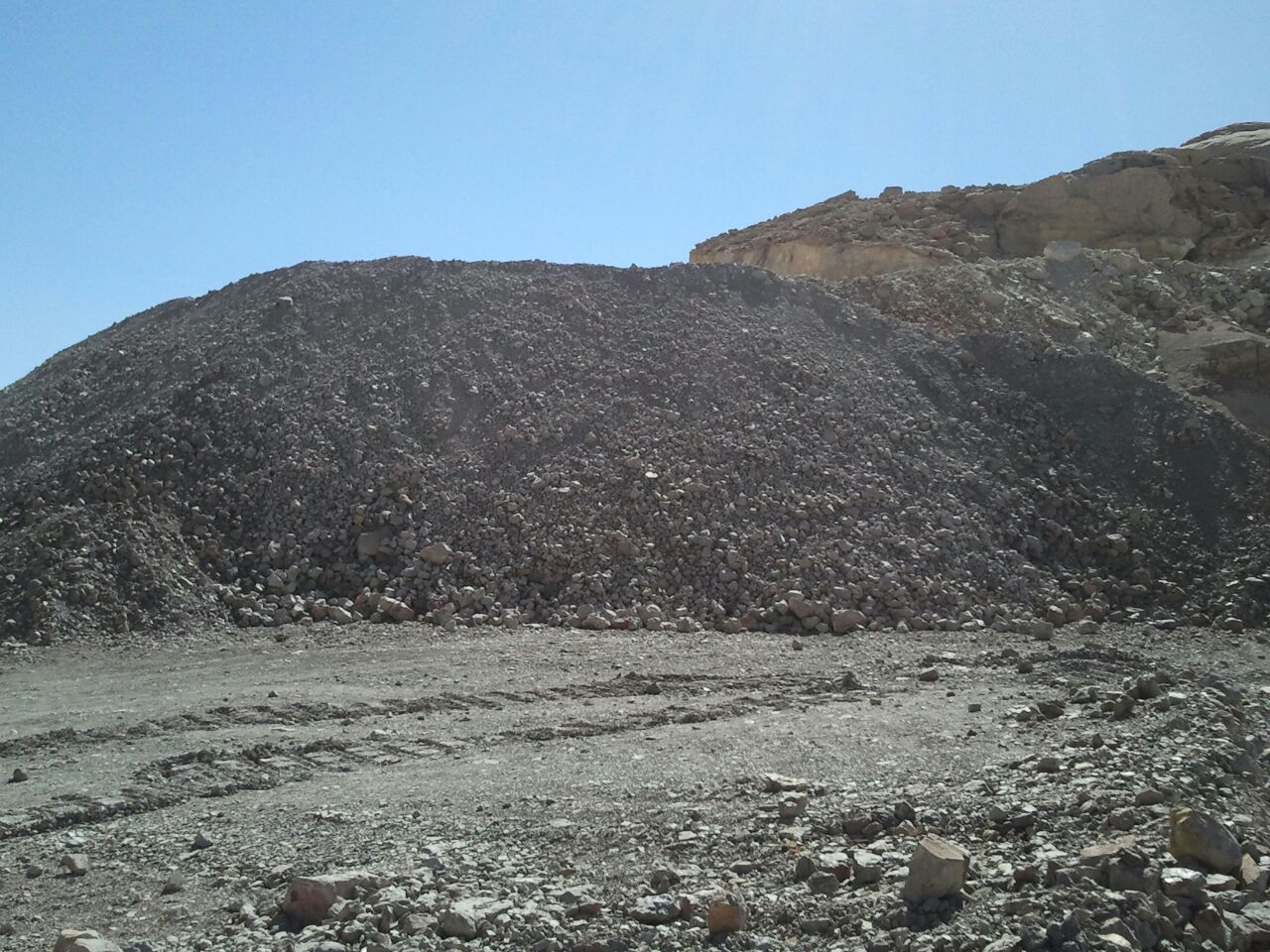 Kaloin (1)