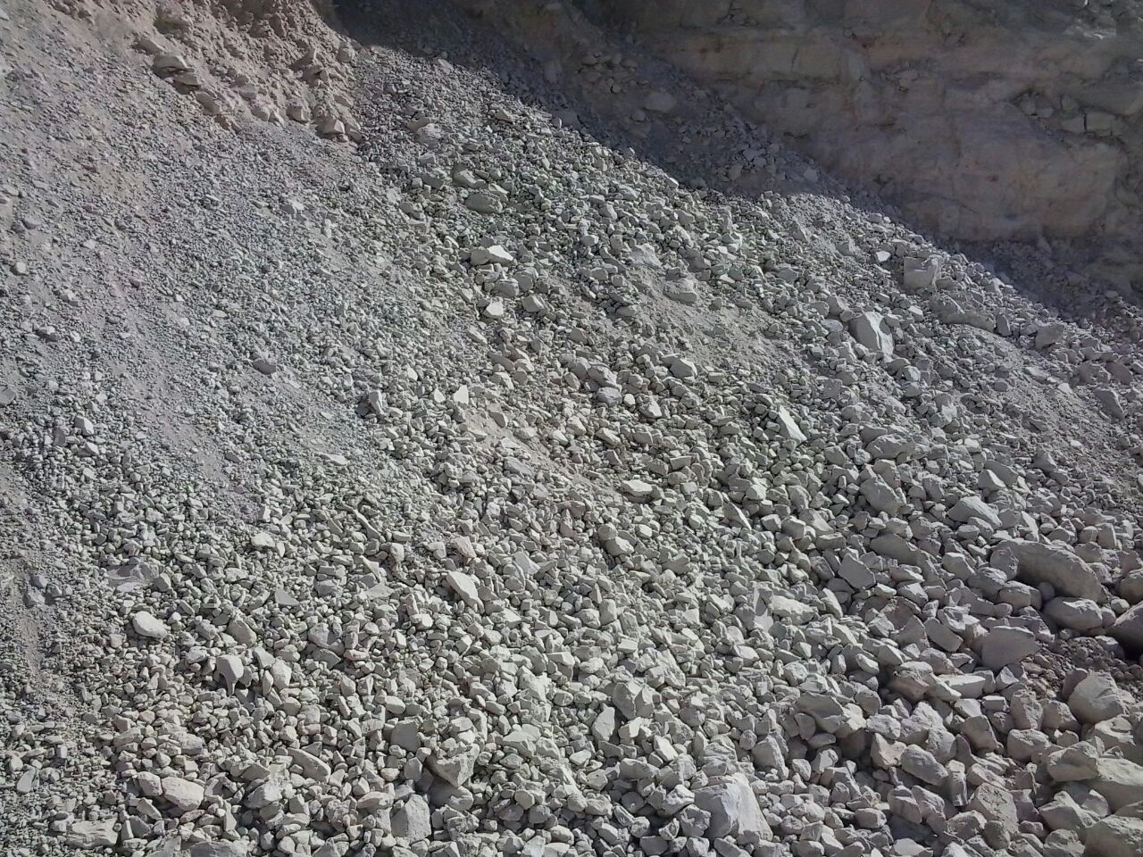 Kaloin (2)